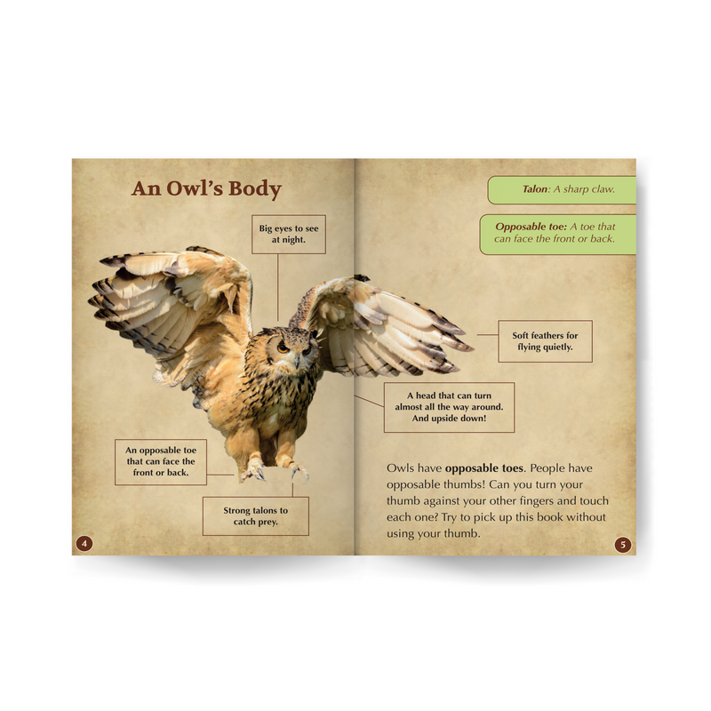 Owls Wildlife Tree edZOOcation™ Readers Book (Level 2) - Paperback