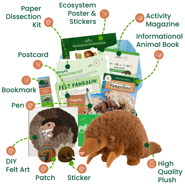 edZOOcation™ Conservationist Box (Age 9-12) - 6 Months