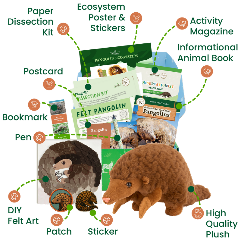 edZOOcation™ Conservationist Box (Age 9-12) - 6 Months