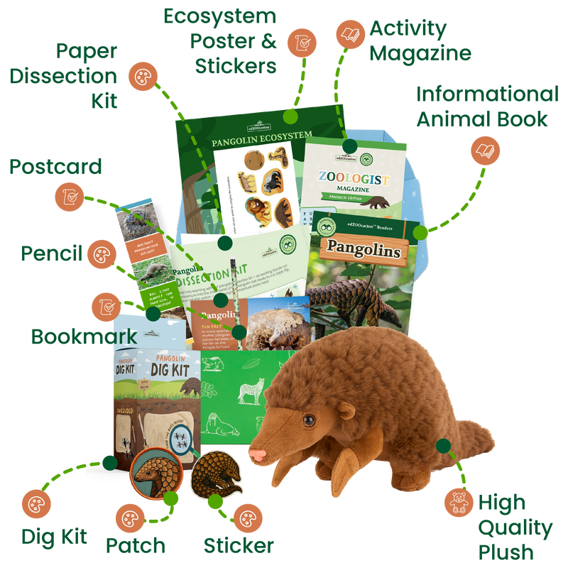edZOOcation™ Zoologist Box (Age 6-8) - Monthly Box