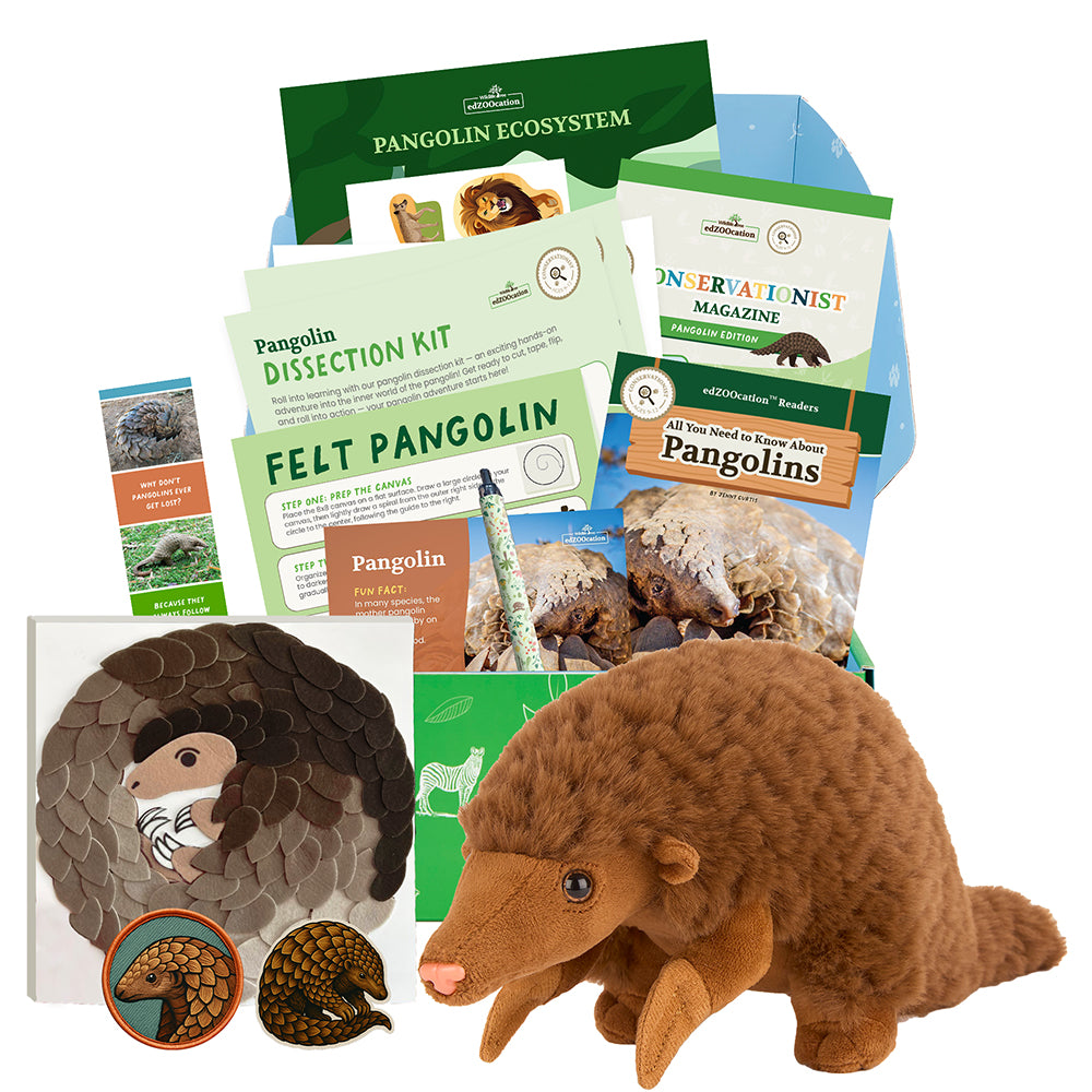 Pangolin Conservationist Box (Age 9-12)