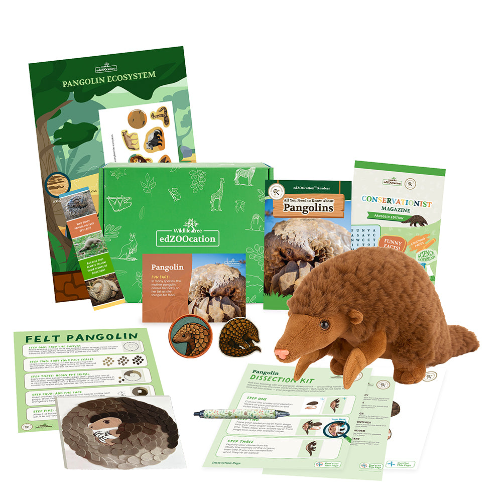 Pangolin Conservationist Box (Age 9-12)