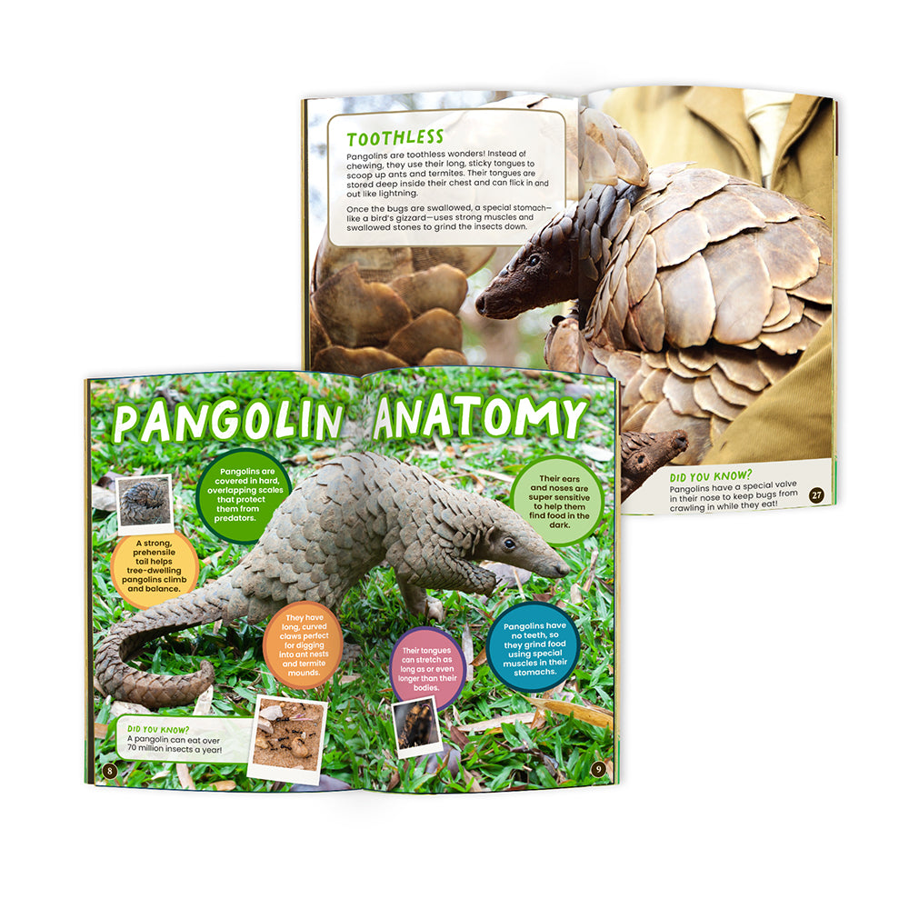 Pangolin Conservationist Box (Age 9-12)