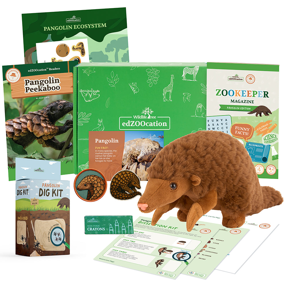 Pangolin Zookeeper Box (Ages 3-5)