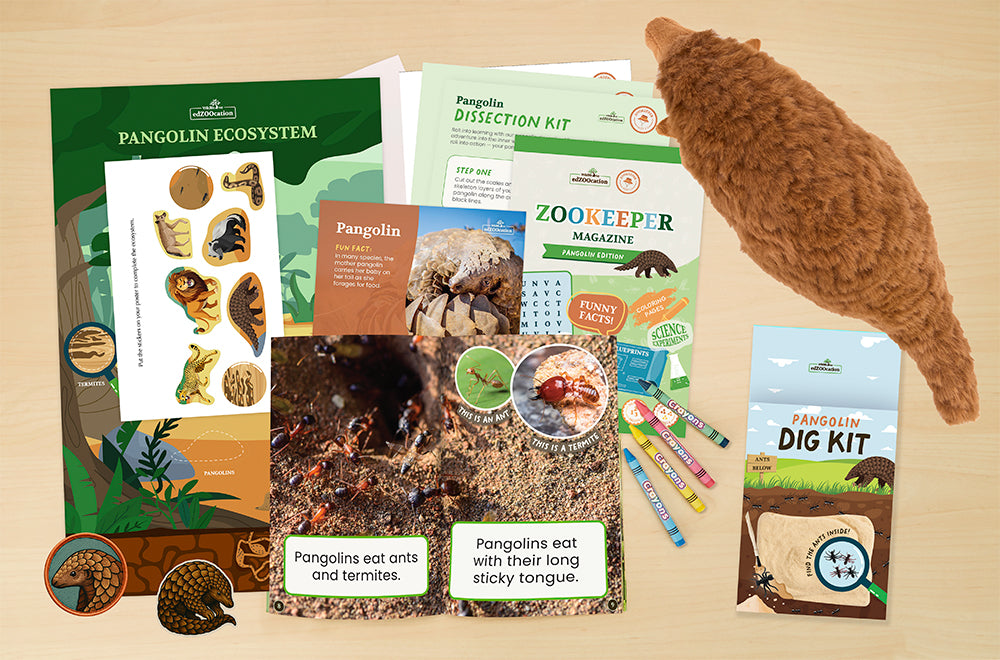 Pangolin Zookeeper Box (Ages 3-5)