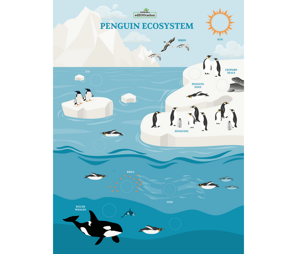 Penguin Ecosystem Poster with Stickers