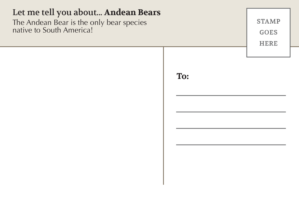 Postcard: Bear