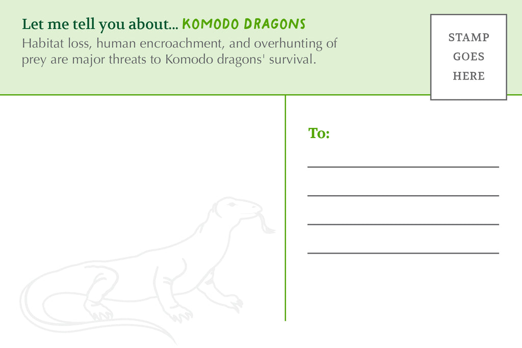 Postcard: Komodo Dragon