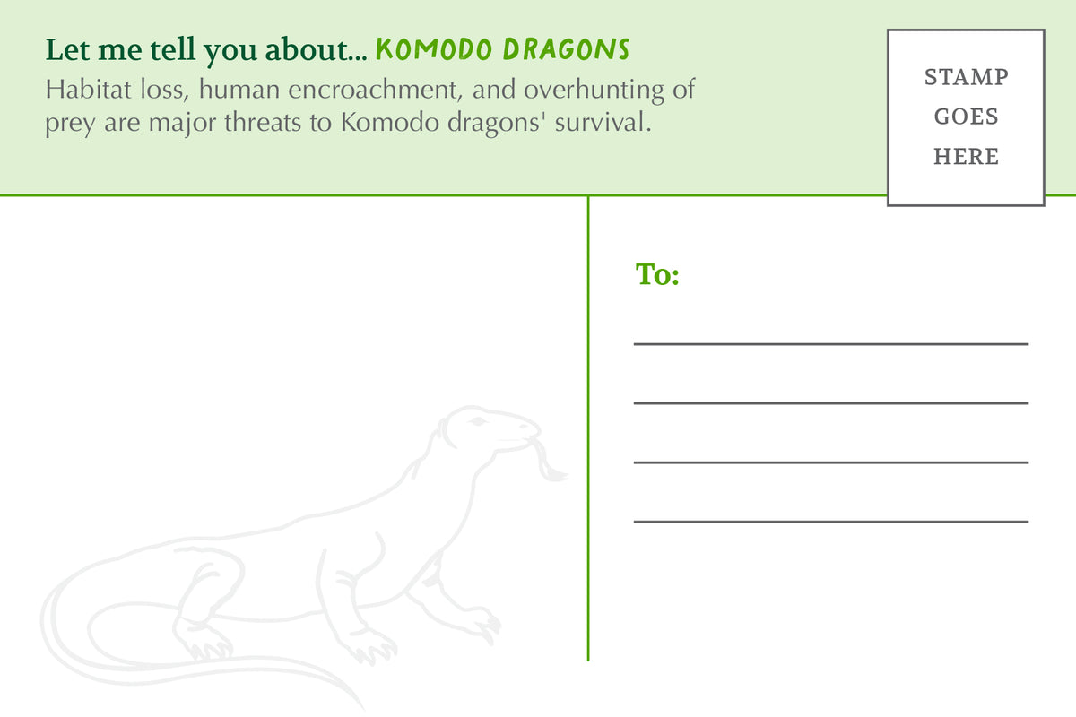 Postcard: Komodo Dragon