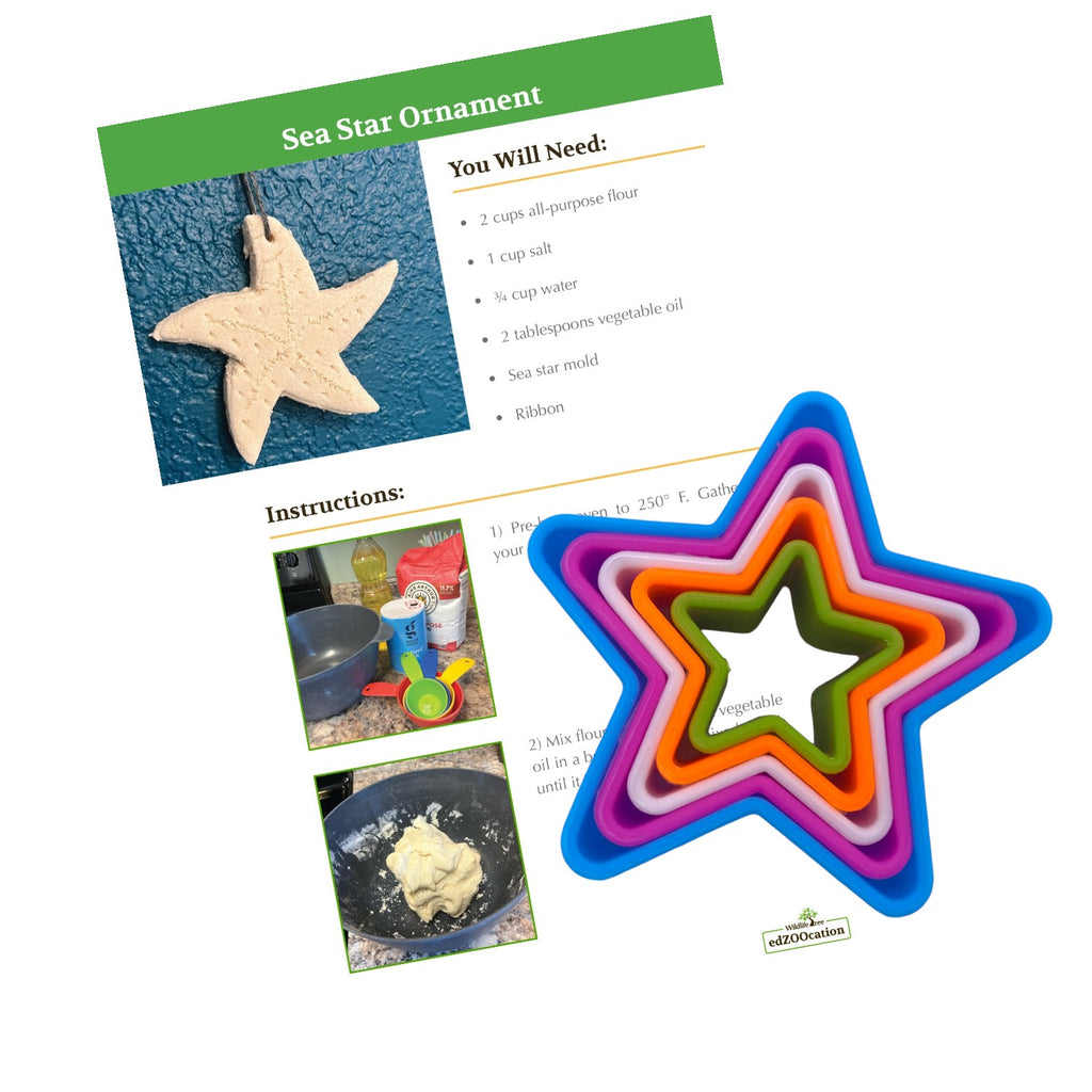 Salt Dough Sea Star Craft Kit - 5 Nesting Cookie Cutters with Instructions