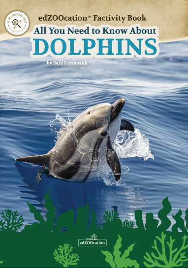 All You Need to Know About Dolphins edZOOcation™ Factivity Book - eBook Digital Download