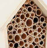 DIY Bee Hotel with Paint Set