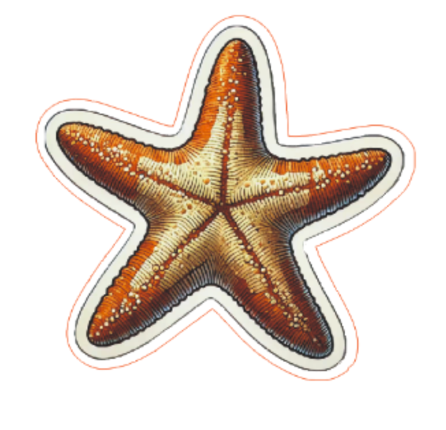 Decal Sticker: Sea Star