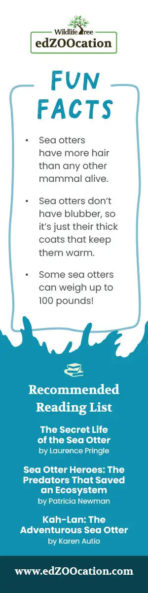 Sea Otter Animal Bookmark