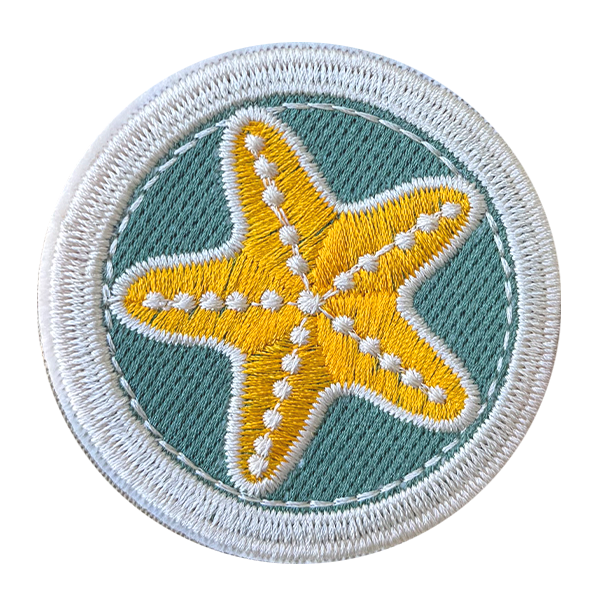 Patch: Sea Star
