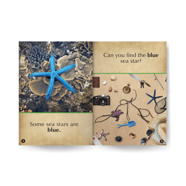 Colorful Sea Stars Wildlife Tree edZOOcation™ Readers Book (Pre-Reader) - Paperback