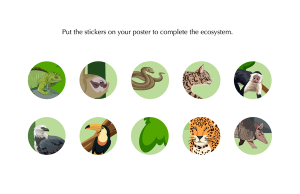 Sloth Ecosystem Poster w/ Stickers