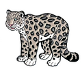 Photo of enamel pin of a Snow Leopard