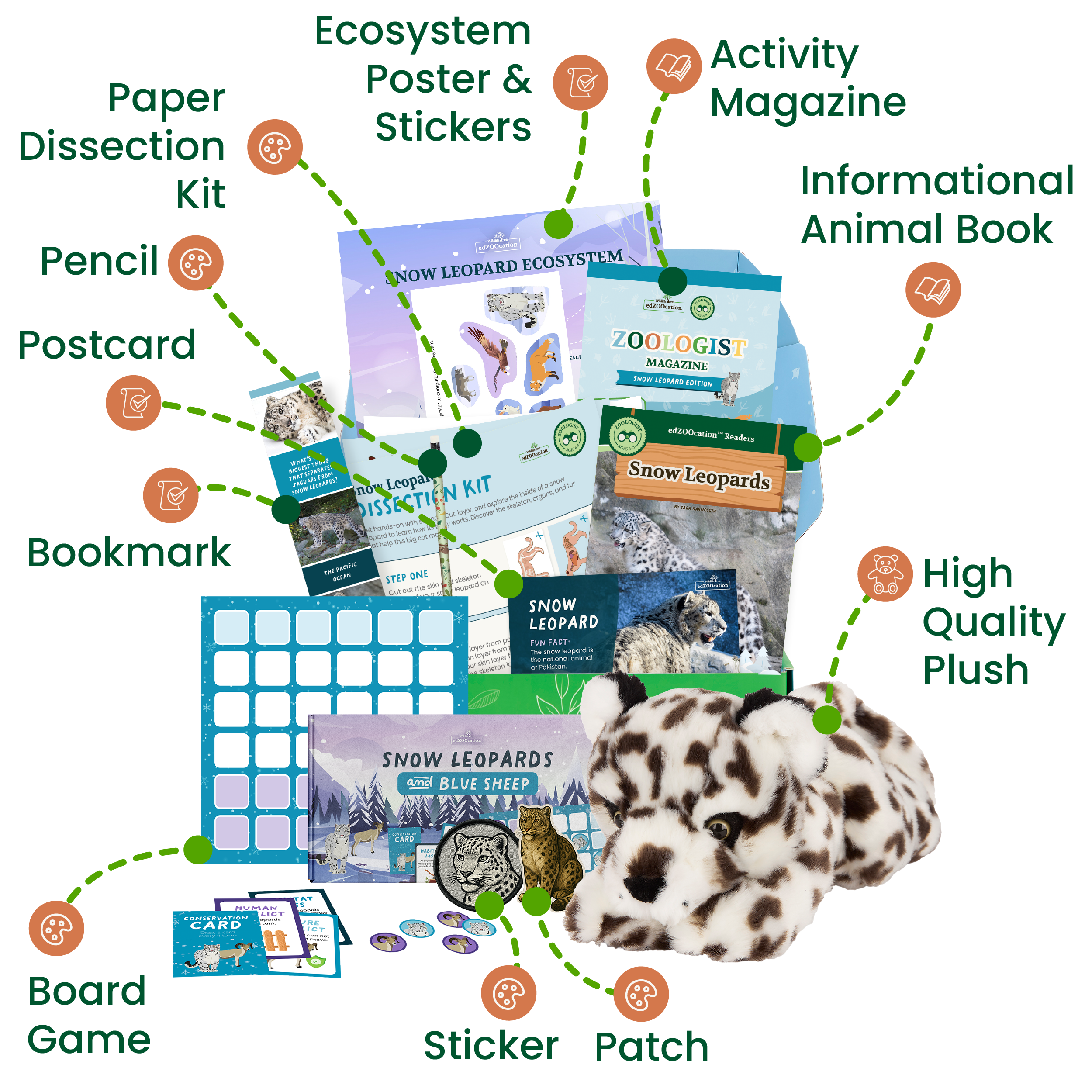 edZOOcation™ Zoologist Box (Age 6-8) - Monthly Box