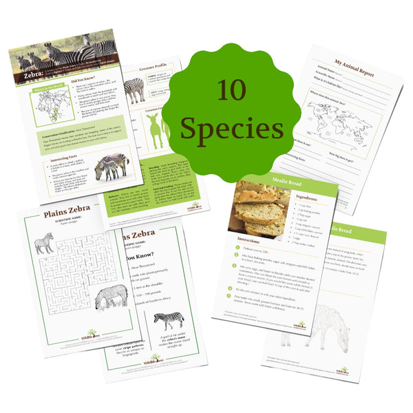 Past Boxes Binder Insert Pages (Pack of 10 Species) - Zoologist and Conservationist Levels