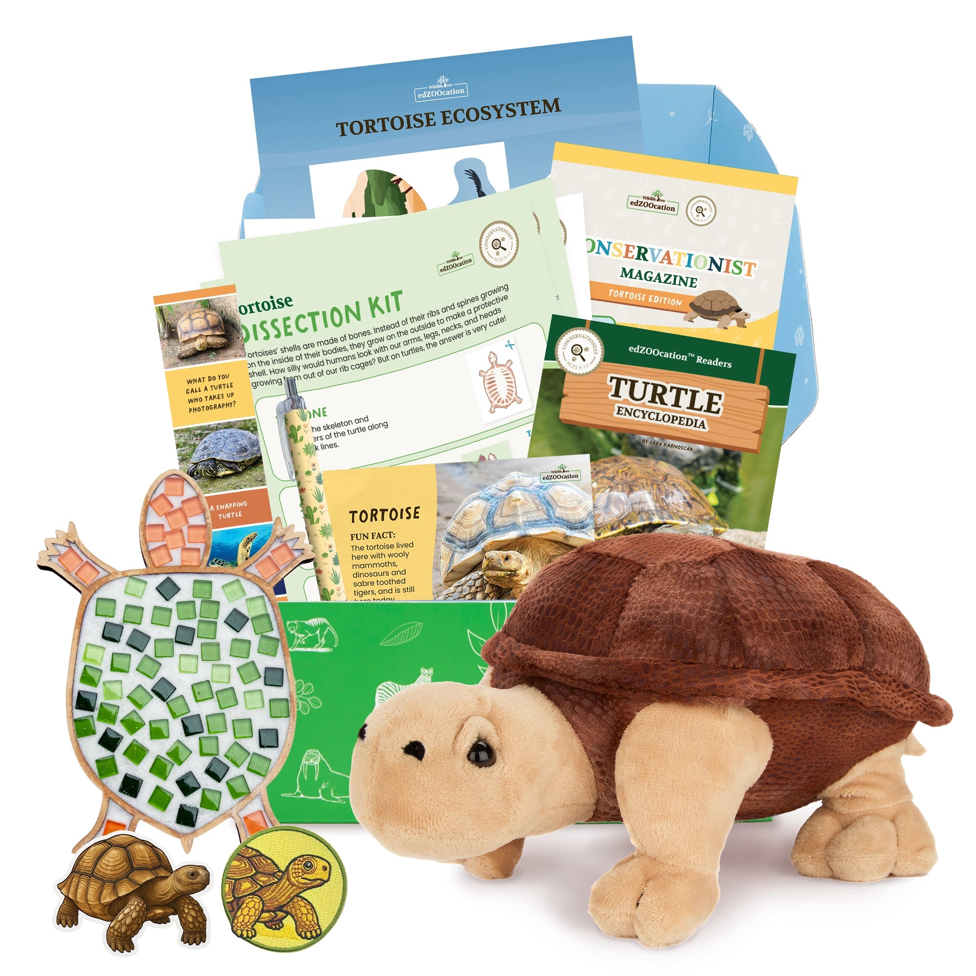 Tortoise Conservationist Box (Age 9-12)