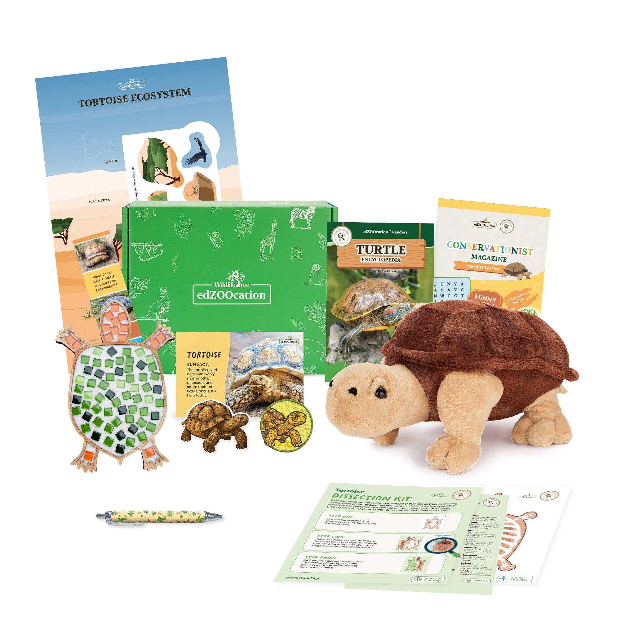 Tortoise Conservationist Box (Age 9-12)