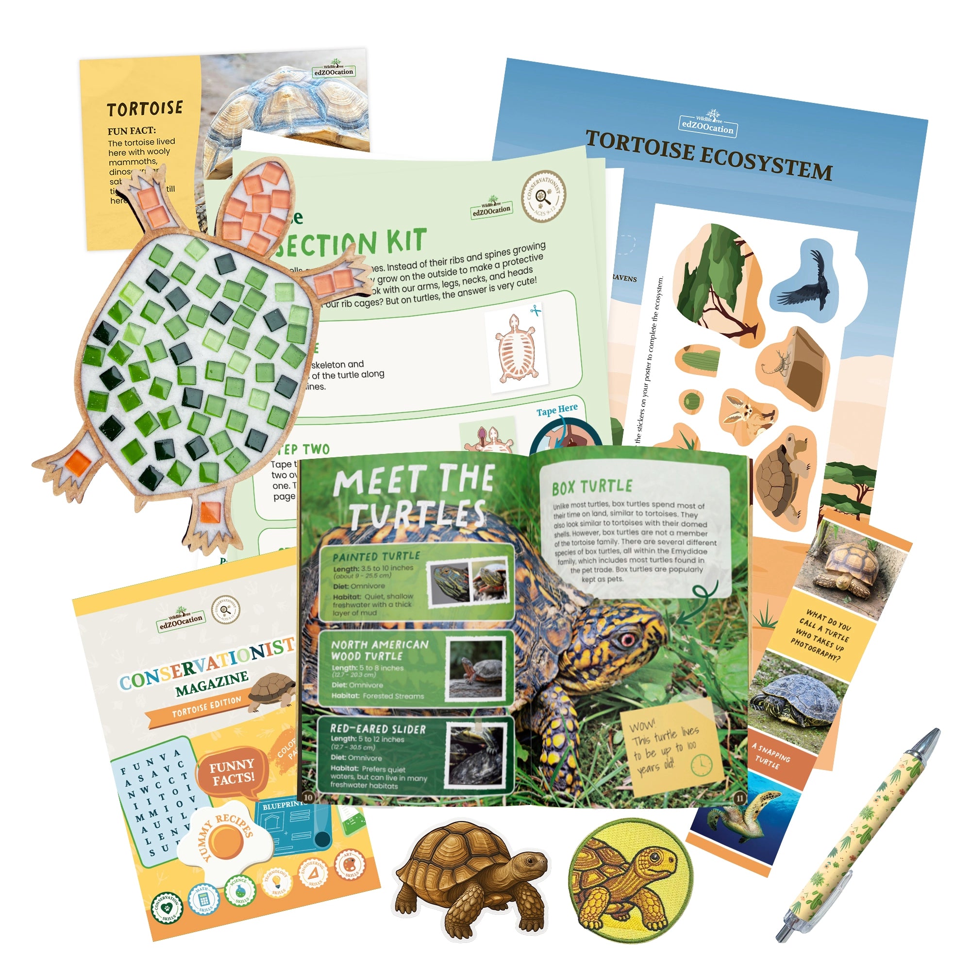 Tortoise Conservationist Box (Age 9-12)