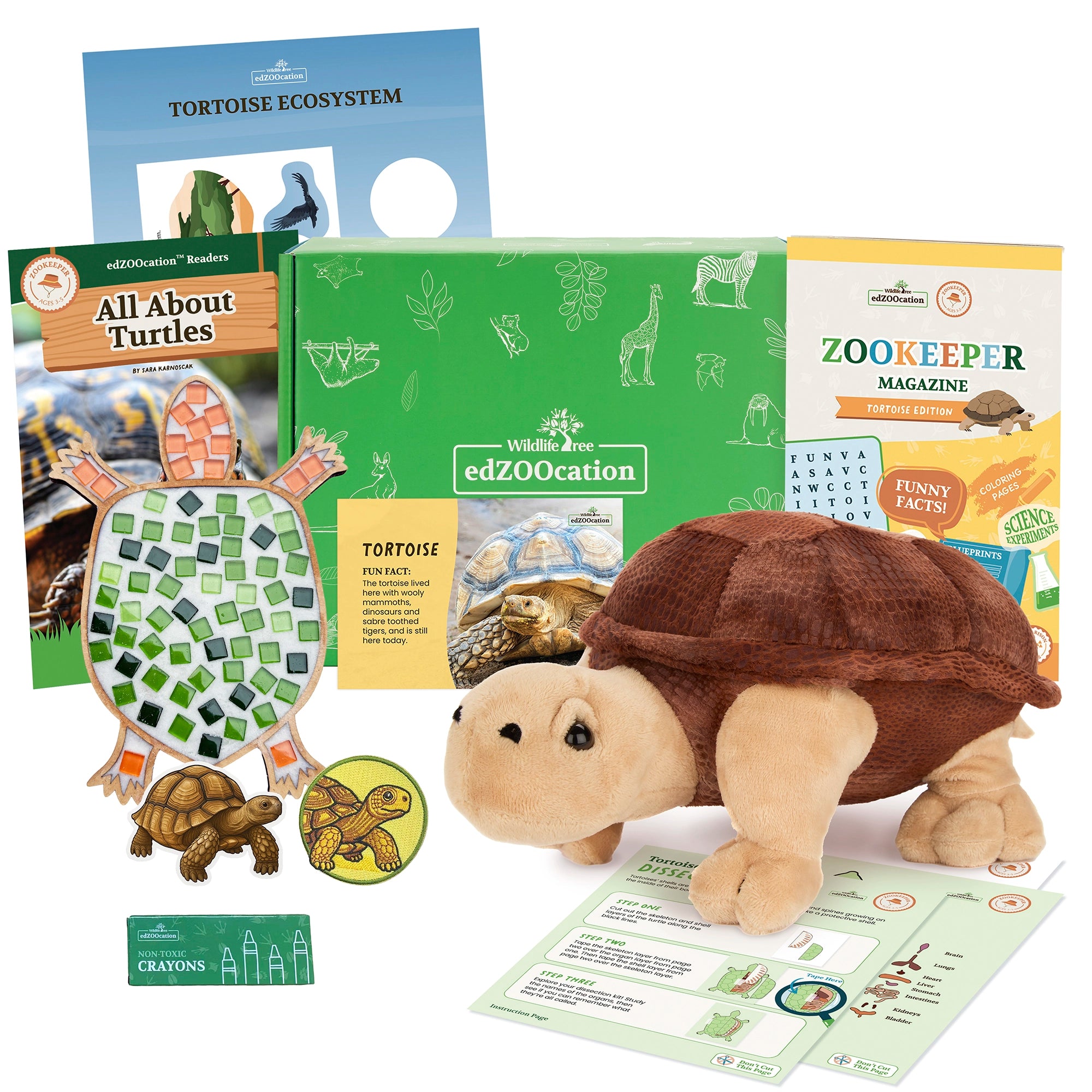 Tortoise Zookeeper Box (Ages 3-5)