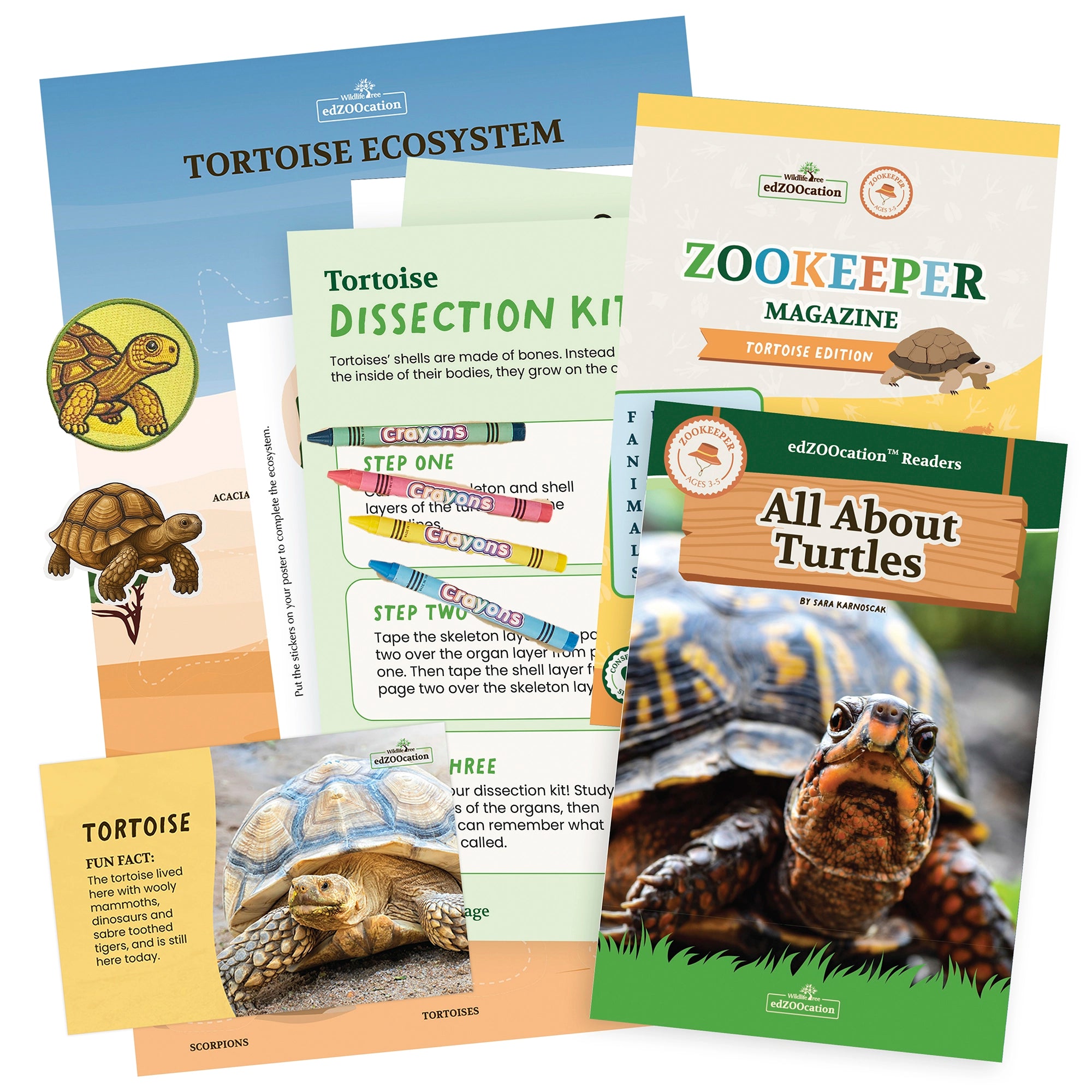 Tortoise Zookeeper Box (Ages 3-5)