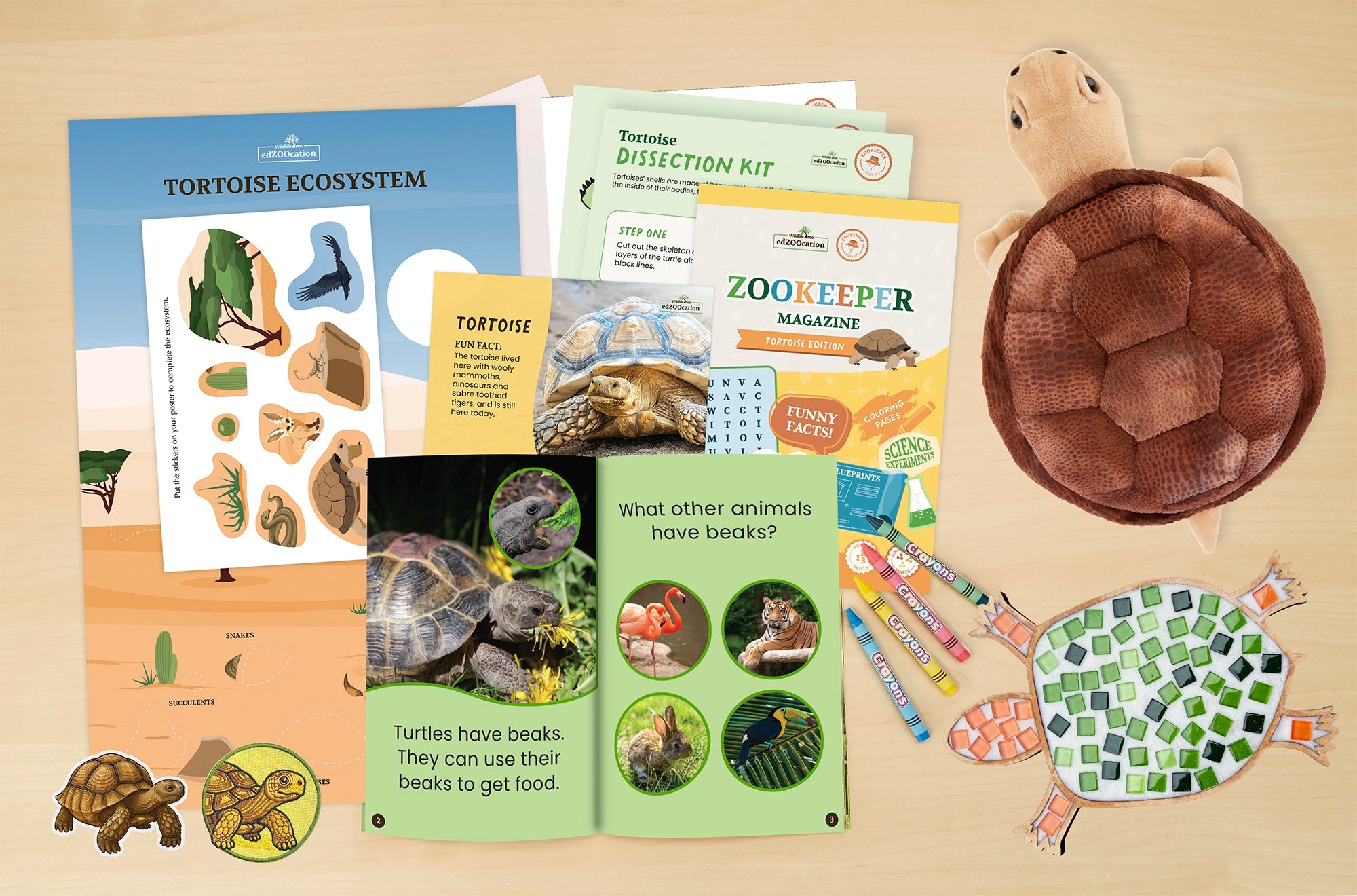 Tortoise Zookeeper Box (Ages 3-5)