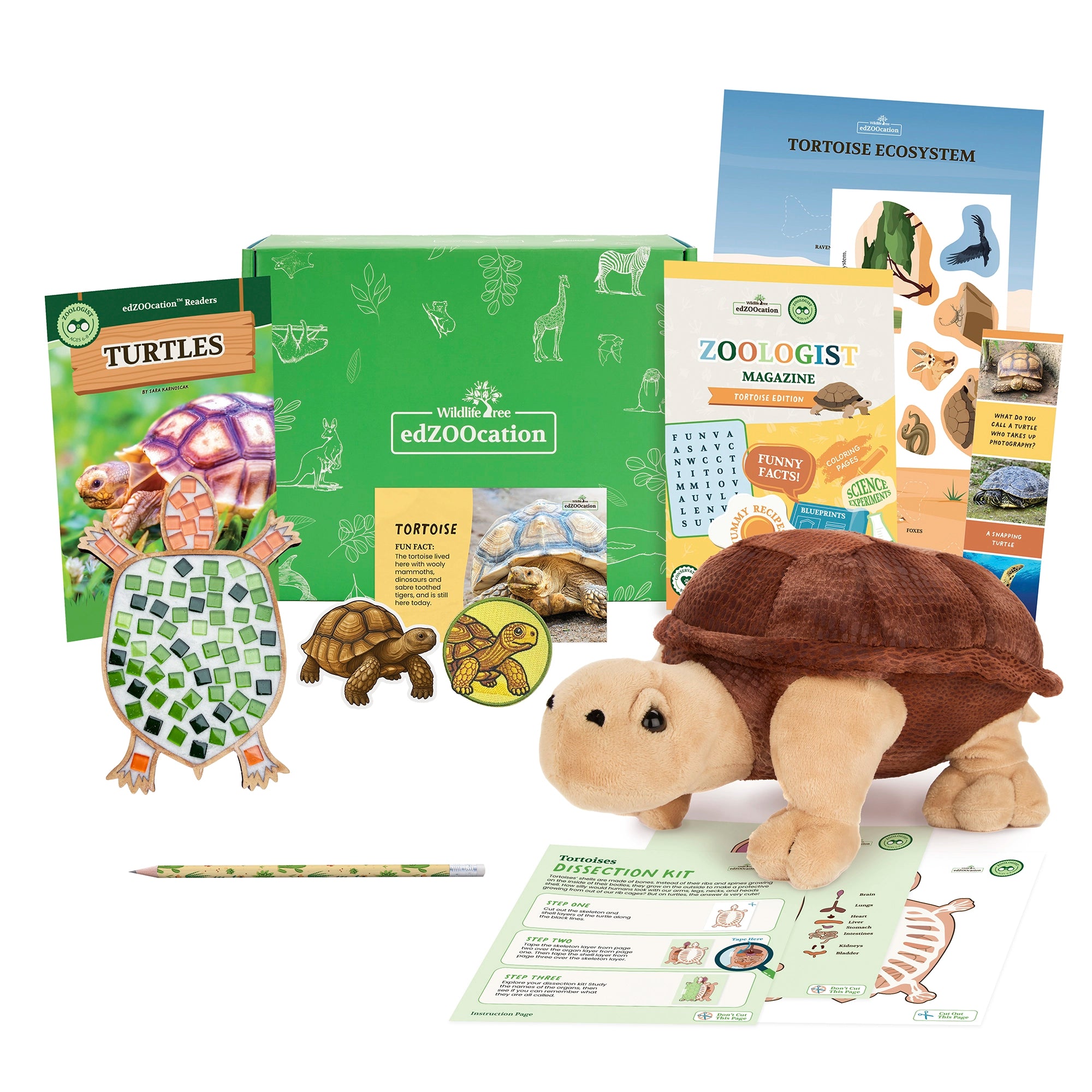 Tortoise Zoologist Box (Ages 6-8)