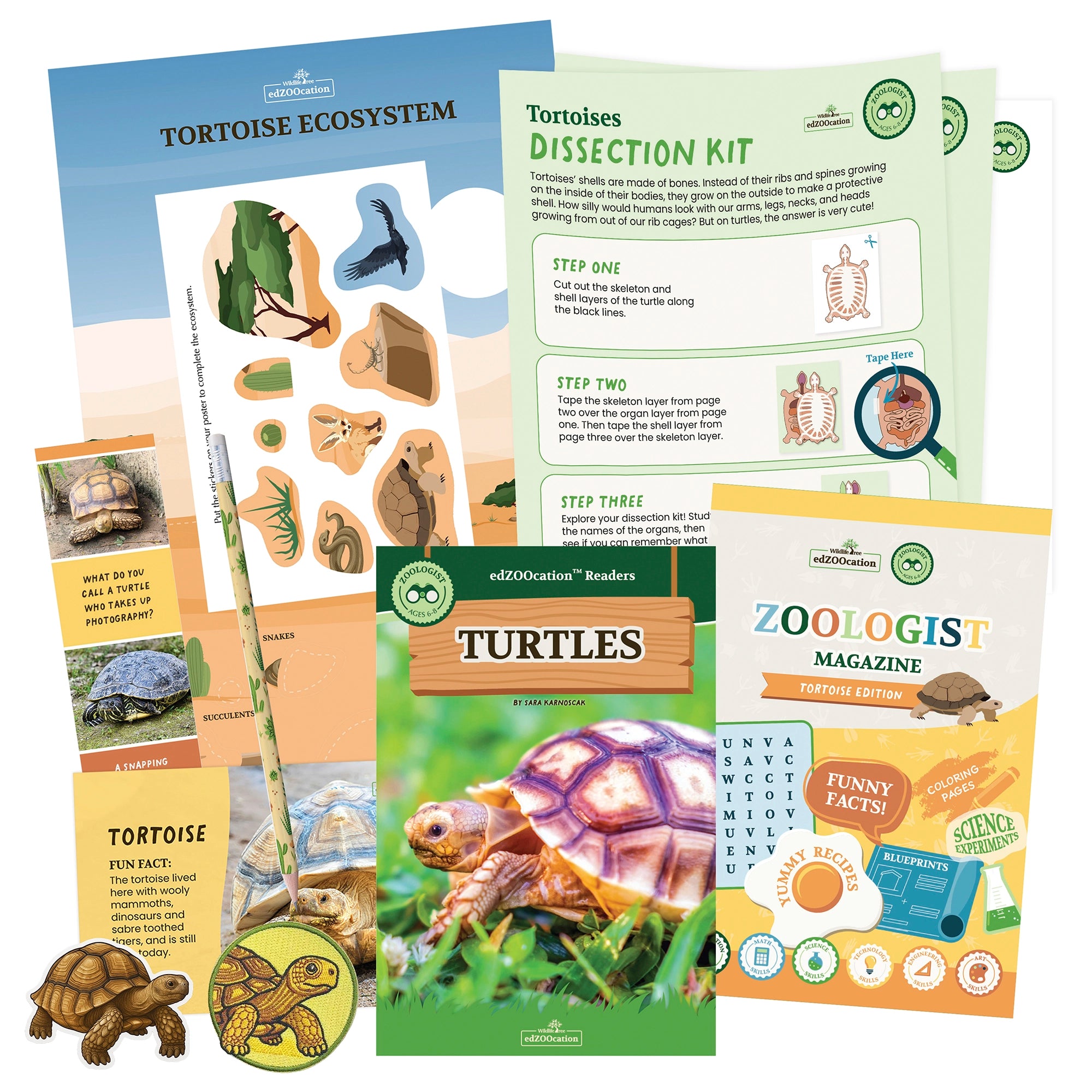 Tortoise Zoologist Box (Ages 6-8)