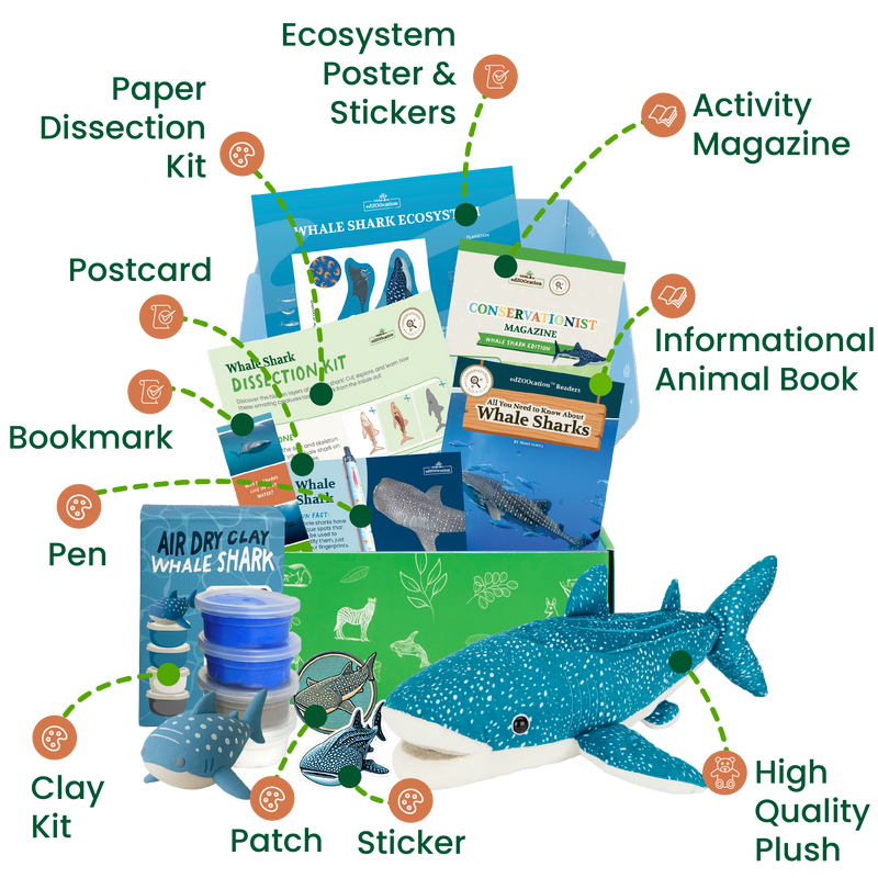 edZOOcation™ Conservationist Box (Age 9-12) - 12 Months (One Time Purchase, Non-Renewing)