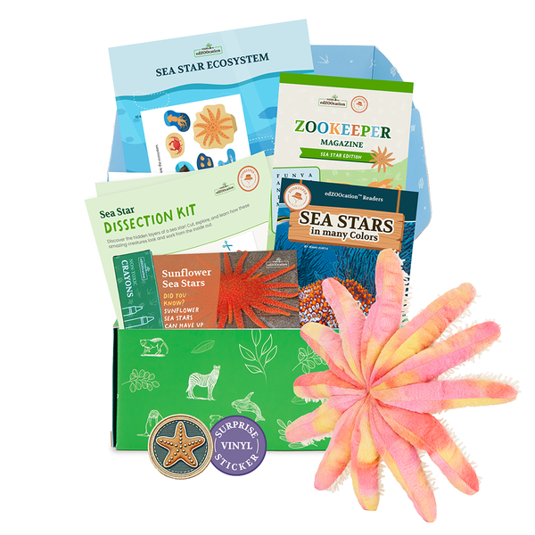 Sea Star Stuffed Animal edZOOcation™ Zookeeper Box (Ages 3-5)
