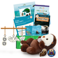 Educational sea otter kit with books, plush toy, and accessories on a white background