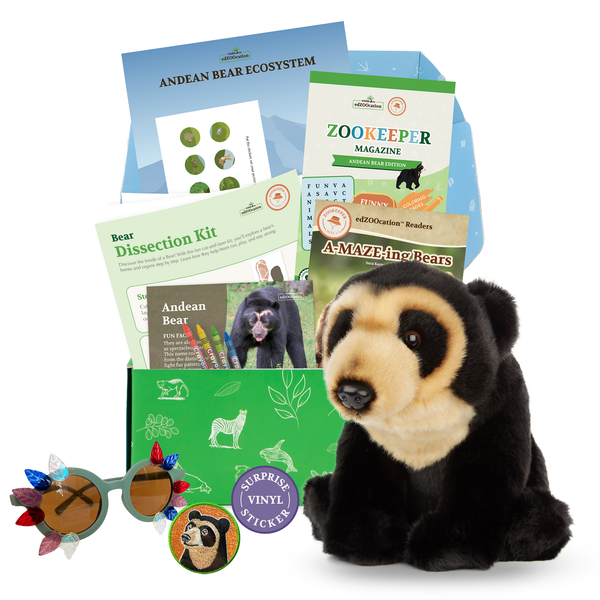 Bear Stuffed Animal edZOOcation™ Zookeeper Box (Ages 3-5)