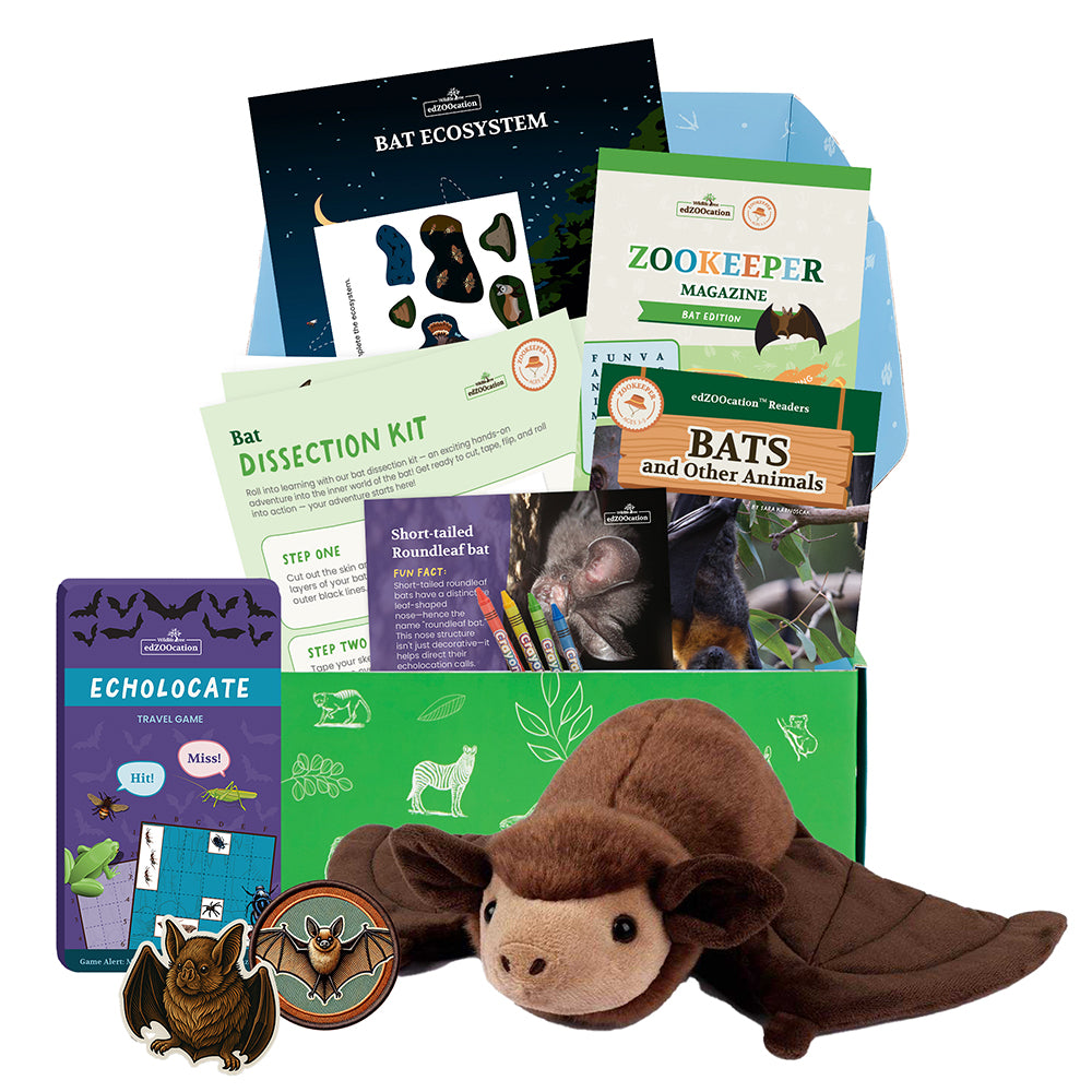 Educational bat-themed kit with books, posters, and plush toy on a white background