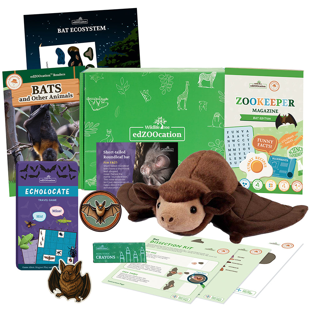 Educational bat-themed kit with books, plush toy, and activities on a white background