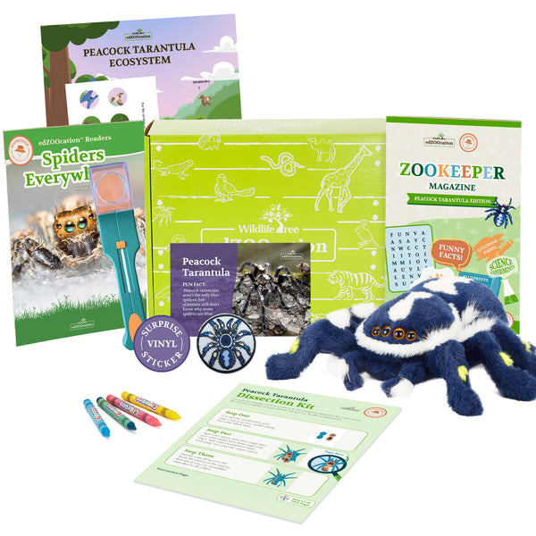 Spider Stuffed Animal edZOOcation Zookeeper Box (Ages 3-5)