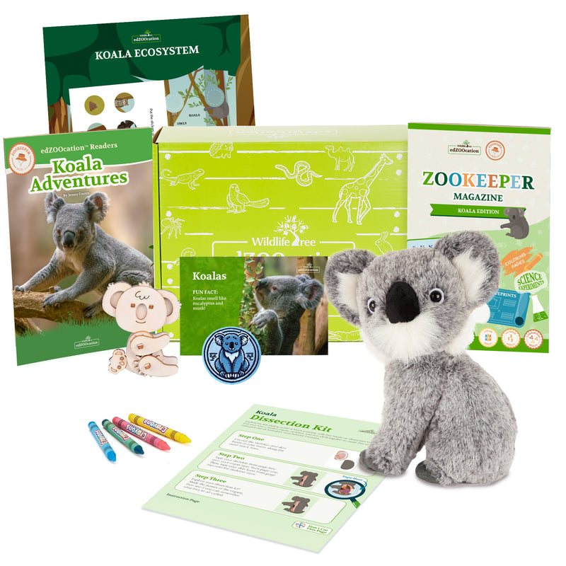 Koala Stuffed Animal edZOOcation Zookeeper Box (Ages 3-5)