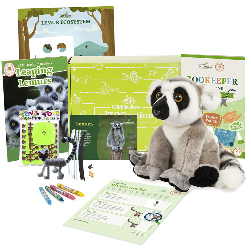 Lemur Stuffed Animal edZOOcation Zookeeper Box (Ages 3-5)