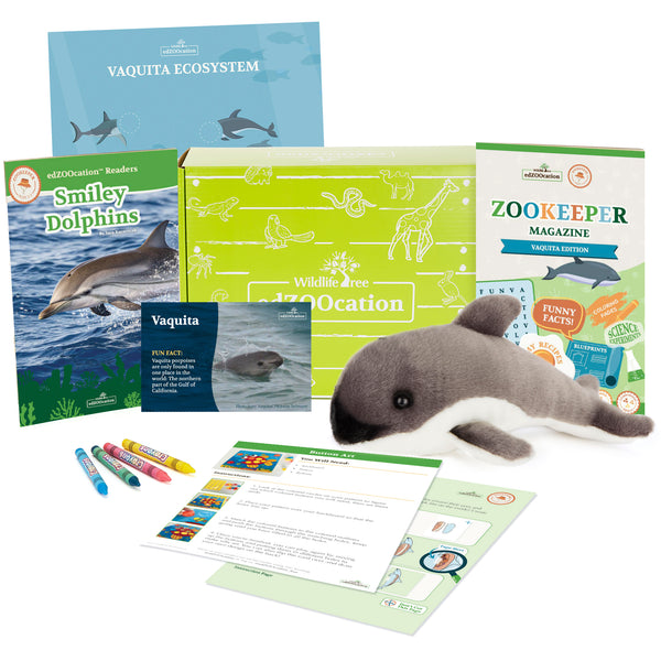 Vaquita Porpoise Stuffed Animal edZOOcation™ Zookeeper Box (Ages 3-5)