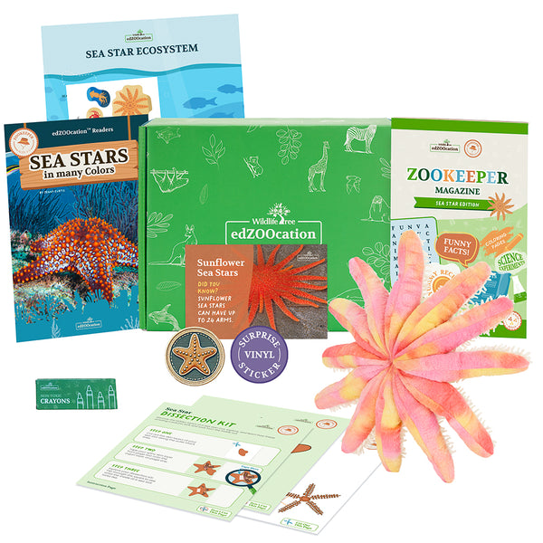 Sea Star Stuffed Animal edZOOcation™ Zookeeper Box (Ages 3-5)