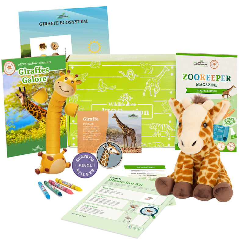 Giraffe Stuffed Animal edZOOcation Zookeeper Box (Ages 3-5)