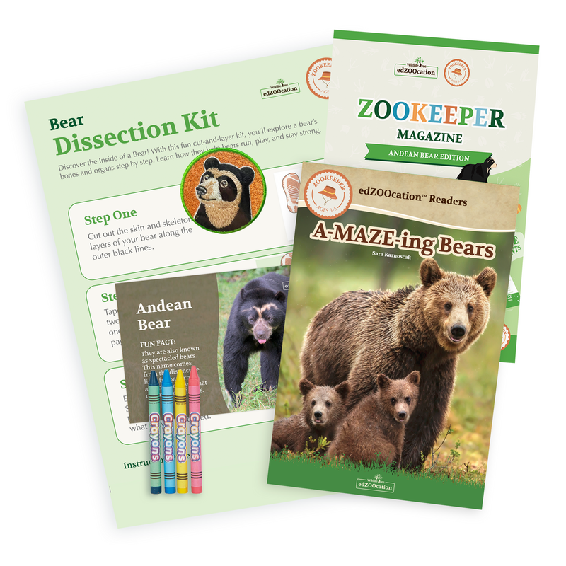 Bear Stuffed Animal edZOOcation™ Zookeeper Box (Ages 3-5)