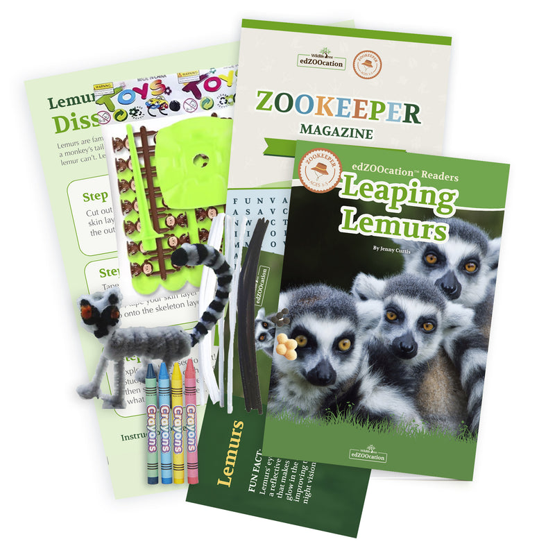 Lemur Stuffed Animal edZOOcation Zookeeper Box (Ages 3-5)