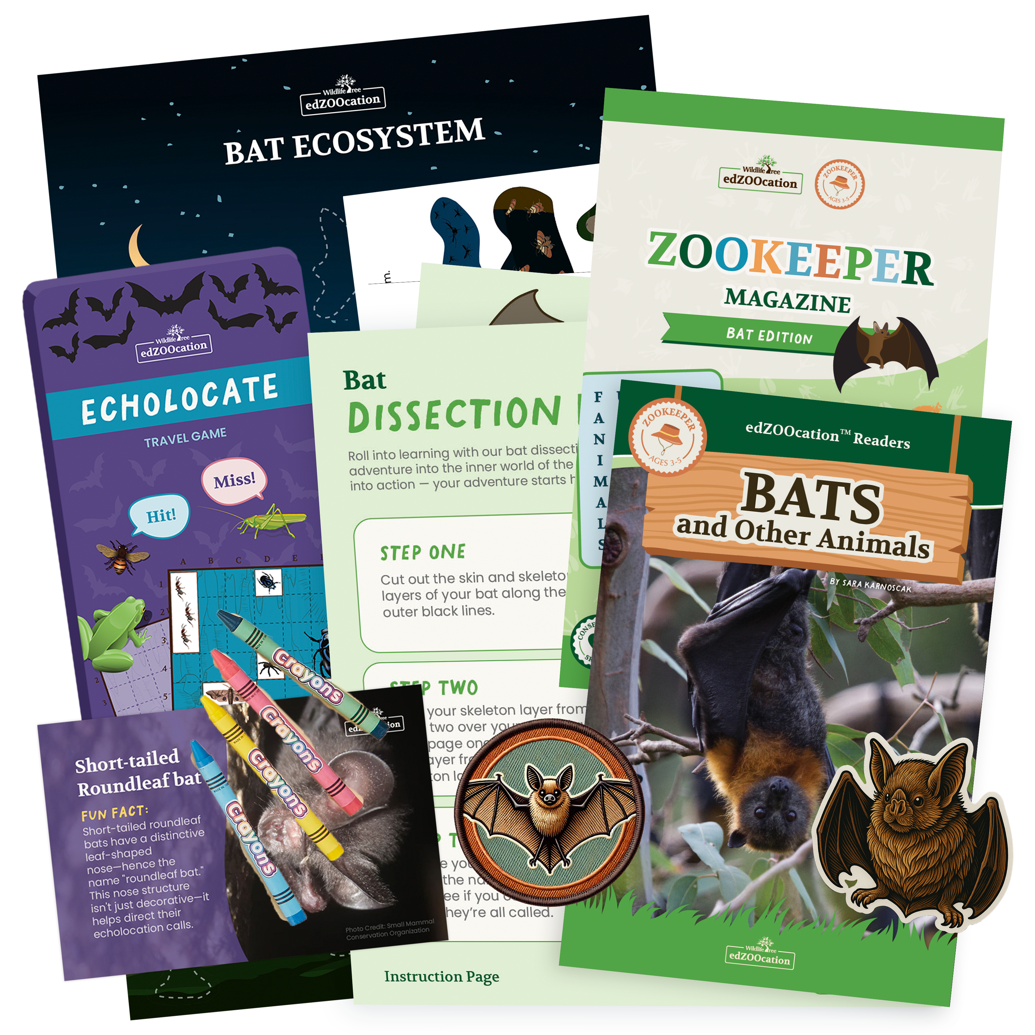 Educational materials about bats including books, games, and magazines on a white background.