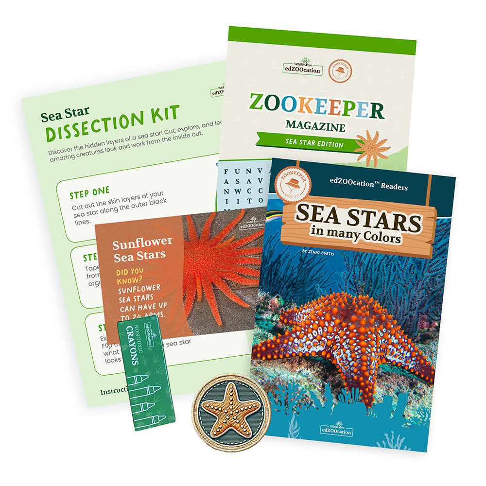 Sea Star Zookeeper Box (Ages 3-5)