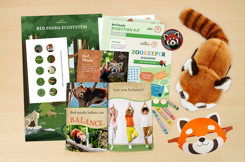 edZOOcation™ Zookeeper Box (Age 3-5) - 6 Months