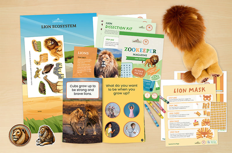Lion Stuffed Animal edZOOcation™ Zookeeper Box (Ages 3-5)